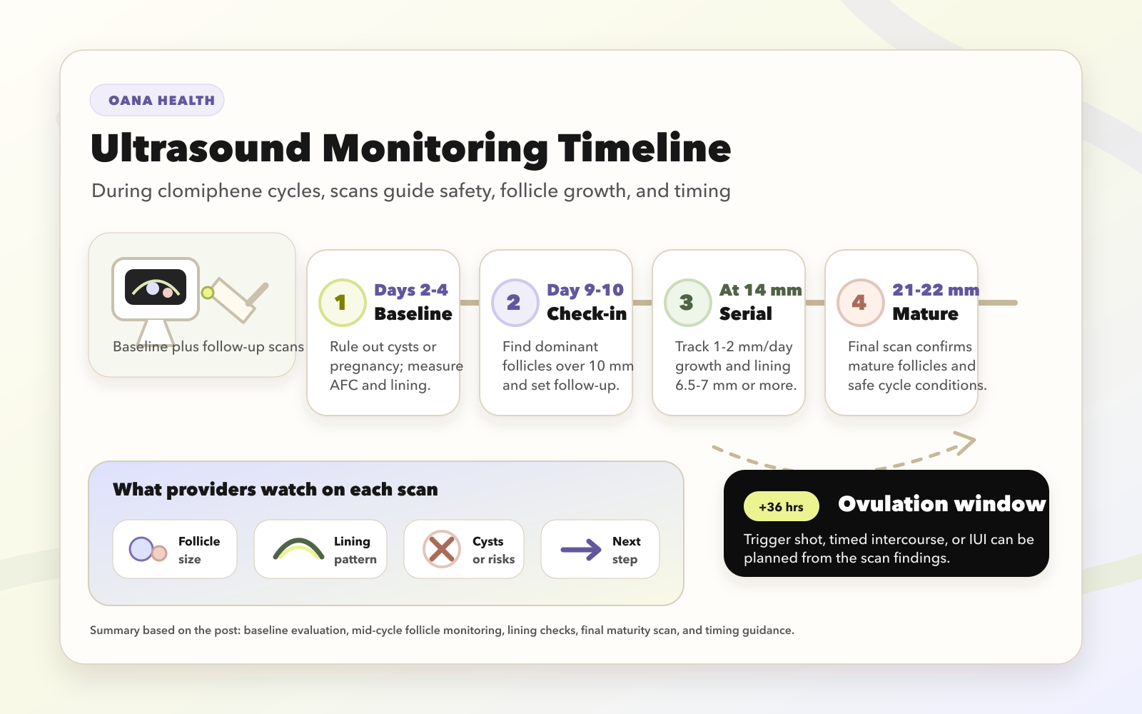 Ultrasound Monitoring Timeline During Clomiphene Cycles